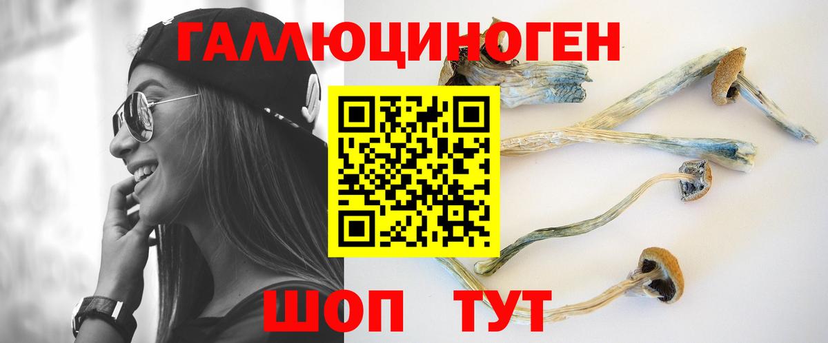 Кимры  Псилоцибиновые грибы прущие грибы  Вход с VPN 