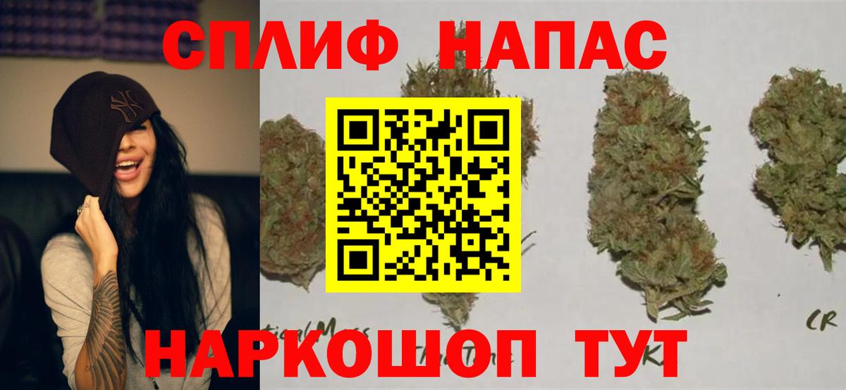 Каннабис план Кимры